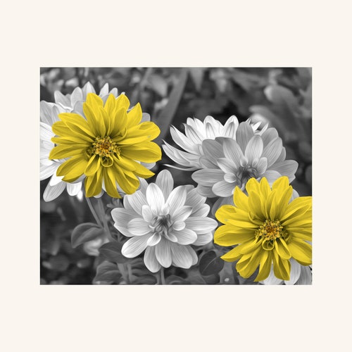 Black White Yellow Wall Art Yellow Gray Flowers Modern Home Etsy