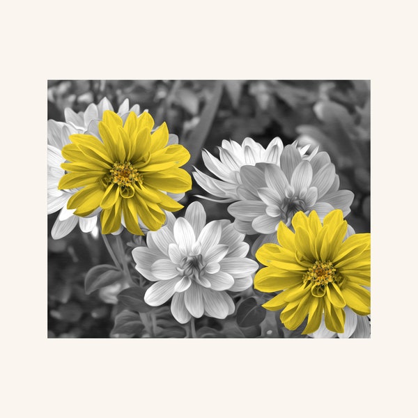 Black White Yellow Wall Art, Yellow Gray Flowers, Modern Home Decor Pop Of Yellow Matted Picture