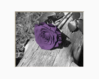 Purple Gray Rose Flower Photography Purple Home Decor Bedroom Bathroom Matted Wall Art Picture