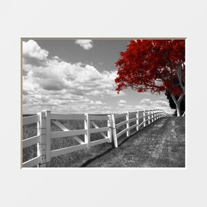 Black White Red Decor, Tree Moon Wall Art, Red Moon, Pop Of Red, Red Bed Room Wall Art Matted Picture Red Tree