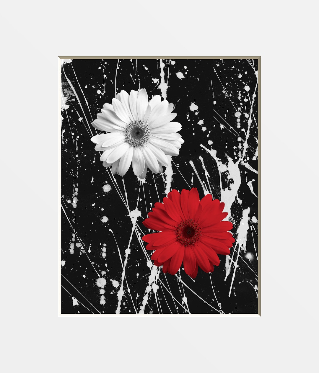 Black White Red Wall Art, Red Home Decor, Daisy Flowers, Modern Photography Matted Artwork
