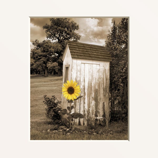 May include: Sepia-toned photograph featuring a weathered, white outhouse with a brown roof, set against a backdrop of trees and a cloudy sky. A vibrant yellow sunflower stands in front of the outhouse, adding a pop of color to the scene.