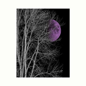 Black White Purple Moon Tree Home Decor Bedroom Photography Matted Wall Art Picture