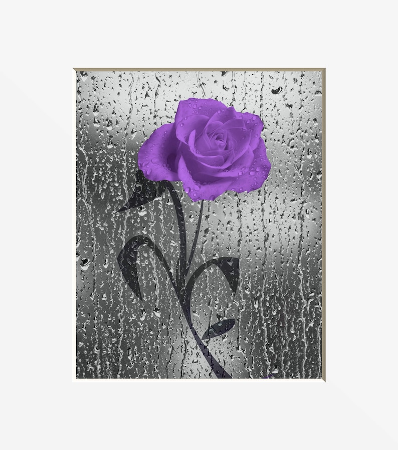 Purple Wall Decor Purple Gray Bathroom Bedroom Wall Pictures Rose Flower Butterflies Decor Purple Gray Wall Art Matted Picture