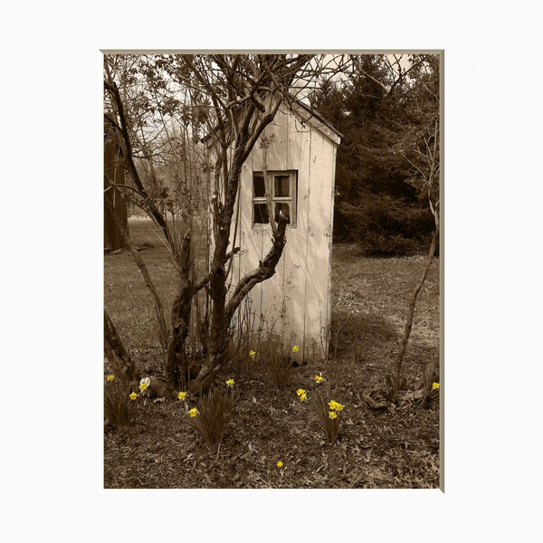 Outhouse Bathroom Farmhouse Bathroom Laundry Room Yellow Home Decor Matted Wall Art Picture