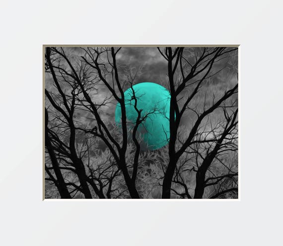 Black white and turquoise bedroom deals
