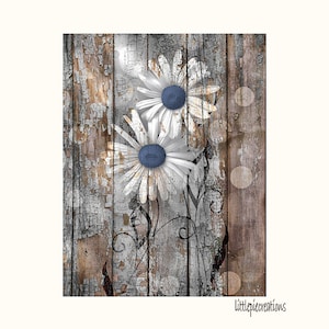 Rustic Brown Blue Wall Art, Daisy Flowers, Modern Farmhouse Photography Matted Artwork Picture