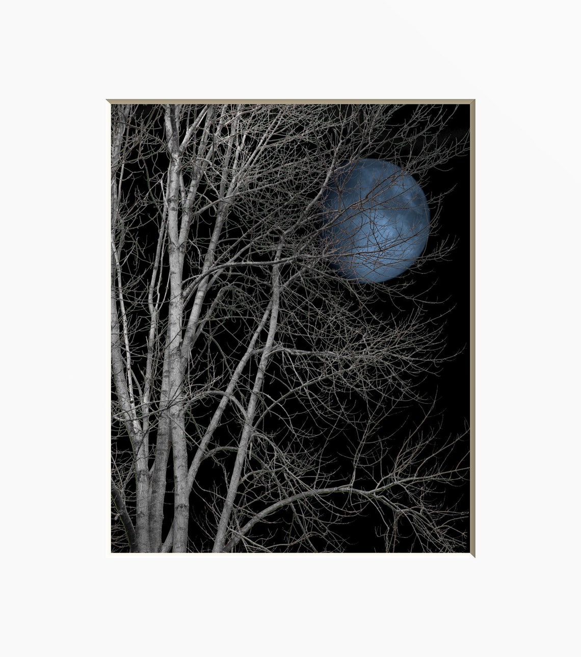 Black White Blue Wall Art Tree Moon Wall Art Pop of Blue Etsy
