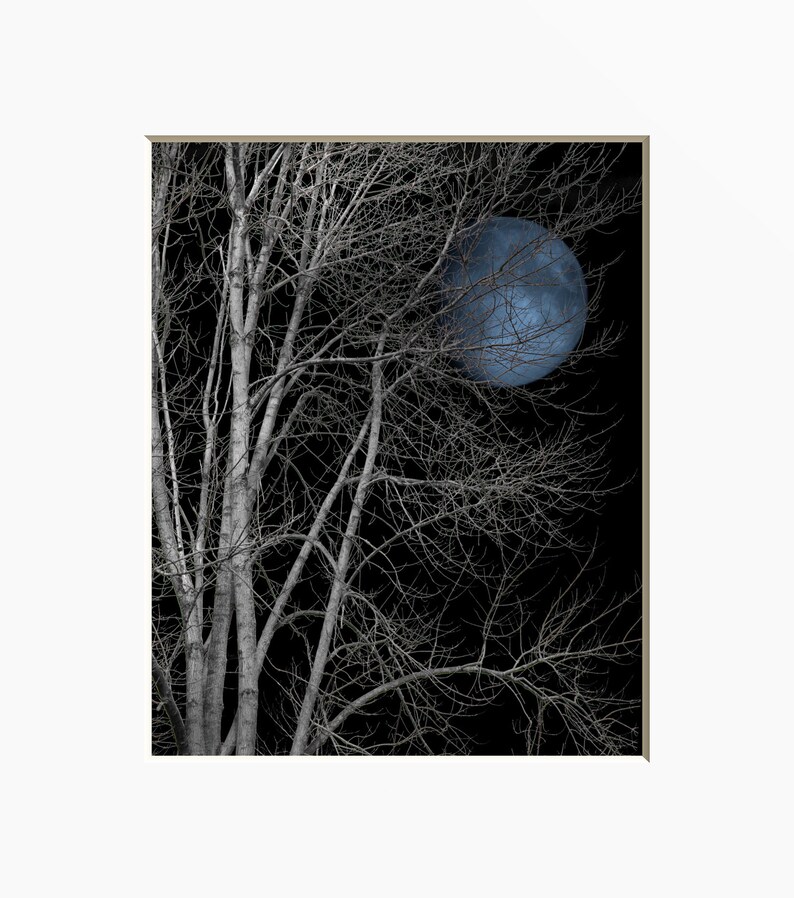 Black White Blue Wall Art Tree Moon Wall Art Pop of Blue Etsy