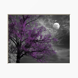 Black White Purple Print, Tree Moon, Contemporay Purple Gray Bedroom Wall Matted Picture