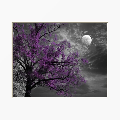 Black White Purple Wall Decor Tree Moon Art Bedroom Living Etsy