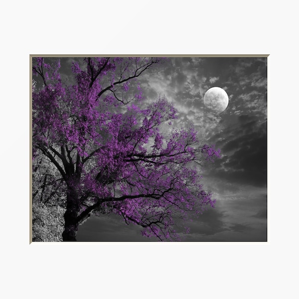 Black White Purple Print, Tree Moon, Contemporay Purple Gray Bedroom Wall Matted Picture