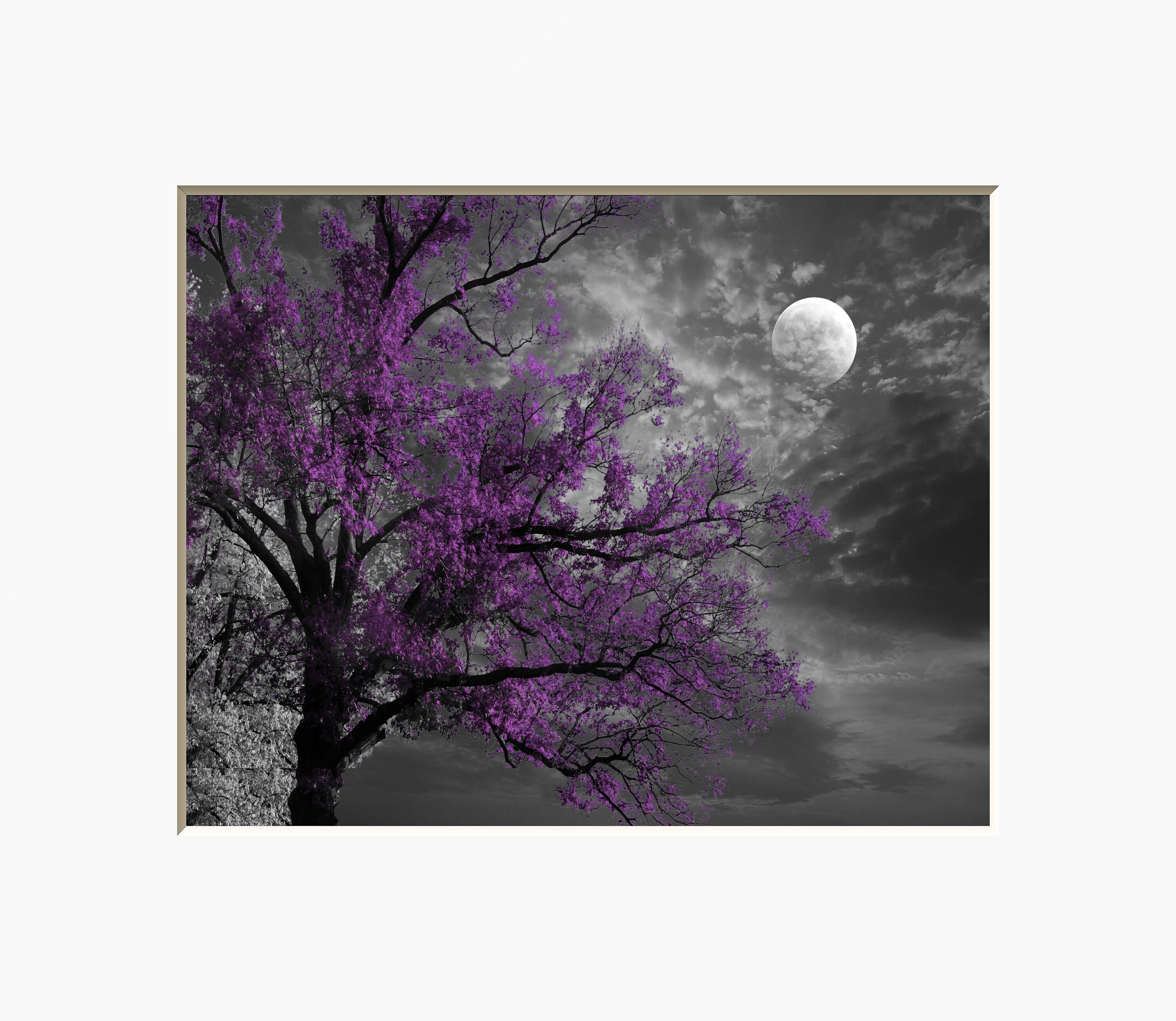 Black White Purple Print, Tree Moon, Contemporay Purple Gray Bedroom …