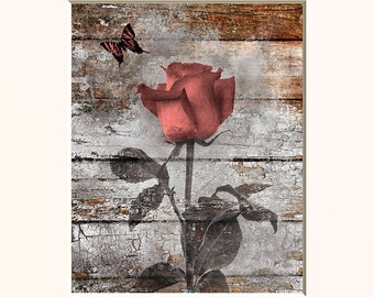 Coral Gray Rose Flower Butterfly Modern Contemporary Bathroom Bedroom Photography Matted Artwork