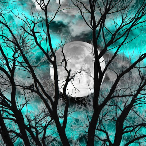 Black White Blue Wall Art Teal Decor Tree Moon Bedroom Etsy