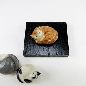 May include: A small orange ceramic cat figurine resting on a square black wooden base, accompanied by two additional ceramic cat figurines, one grey and white and one black and white, positioned separately on the surface.
