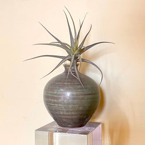 May include: A small, green ceramic vase with a striped pattern sits on a clear glass cube. A small air plant is growing out of the vase.