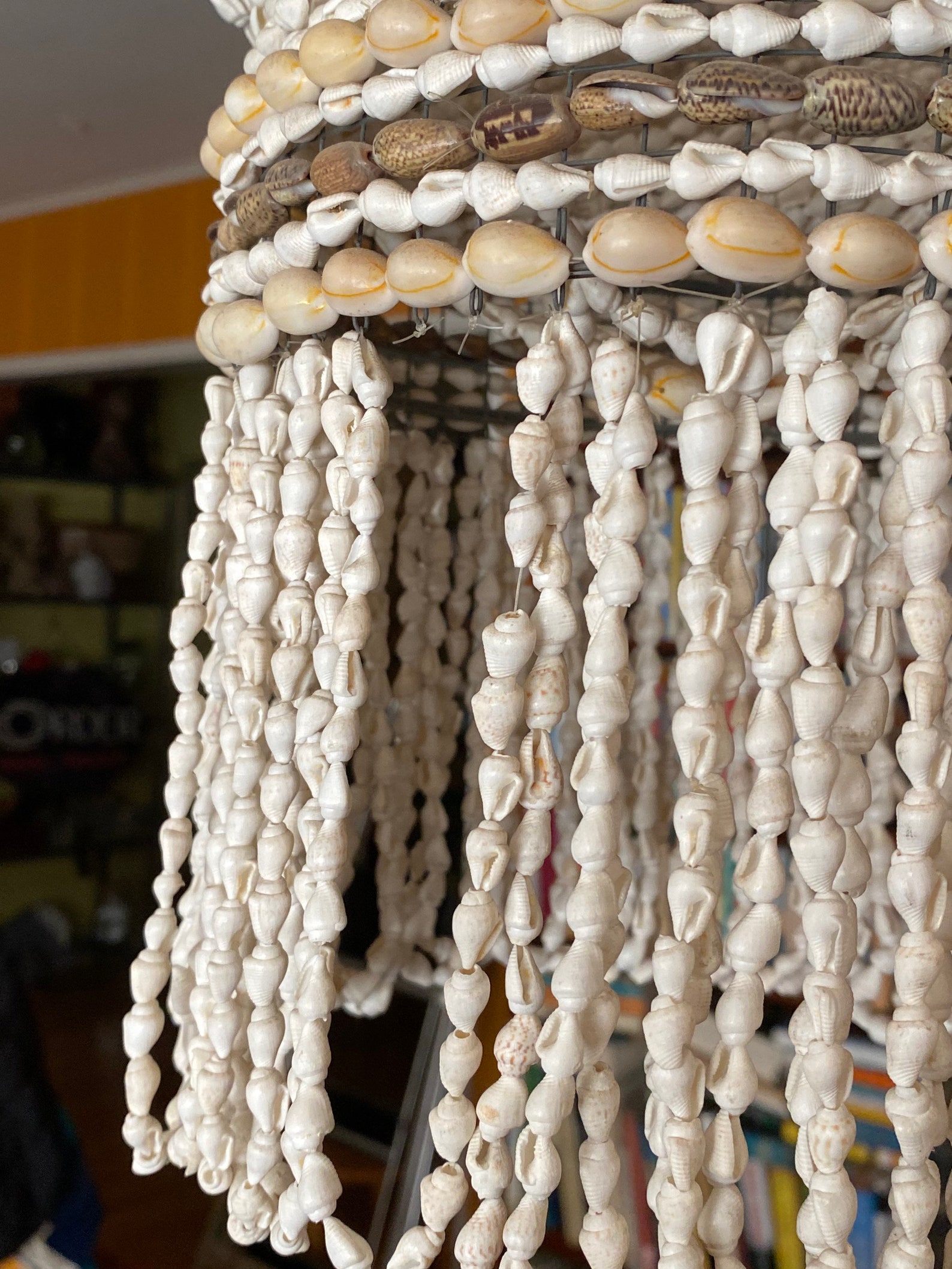 Hanging Shell Planter HUGE Vintage Cowrie Shell Hanging Etsy