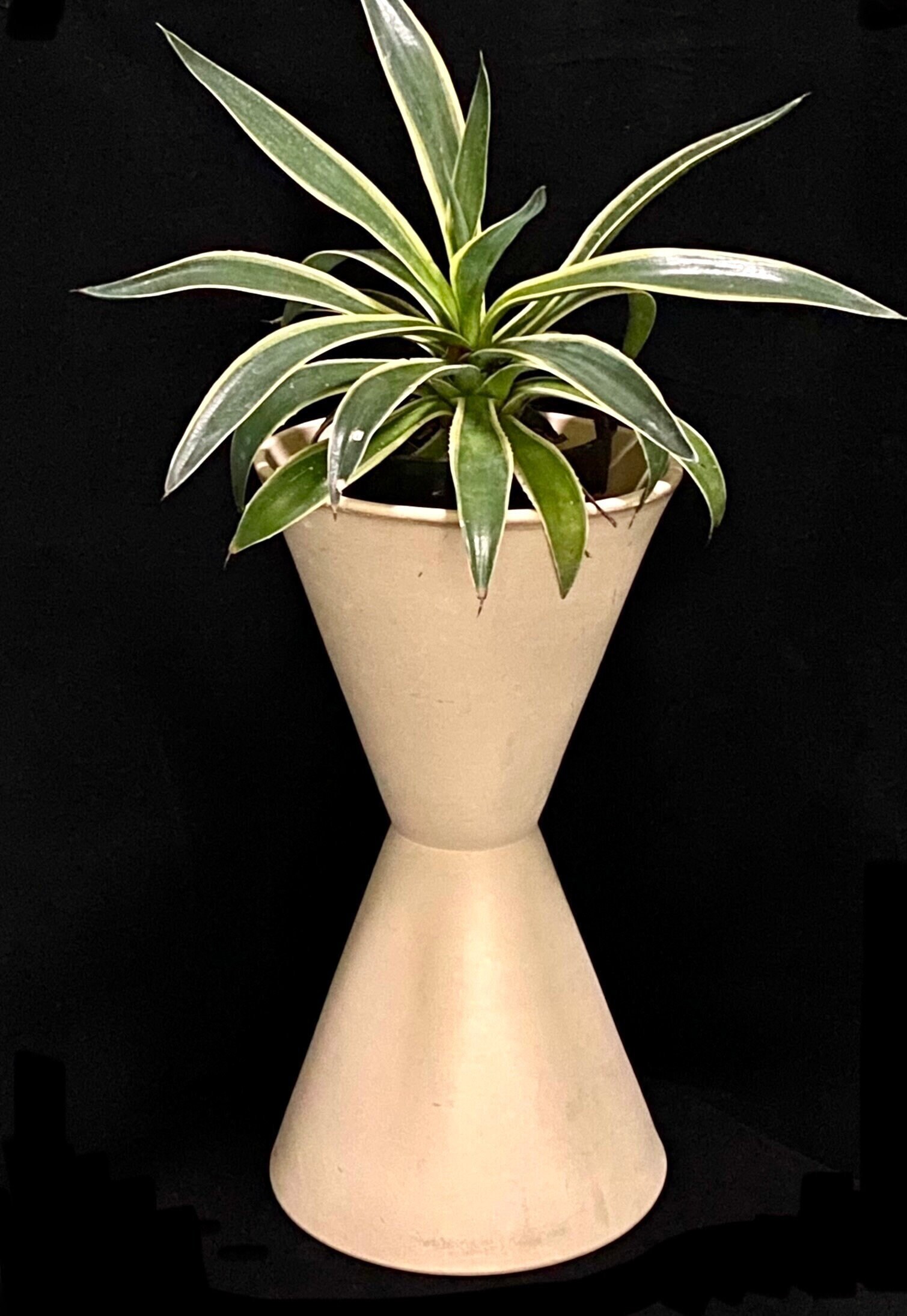 ARCHITECTURAL POTTERY 鉢　MADE IN USA John Follis Planter for Architectural Pottery in Bisque