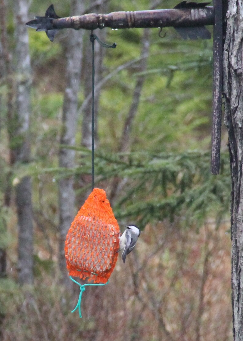 Authentic Maine Made Lobster Bait bags for use for Bird Suet Suet Bird Feeder Bag