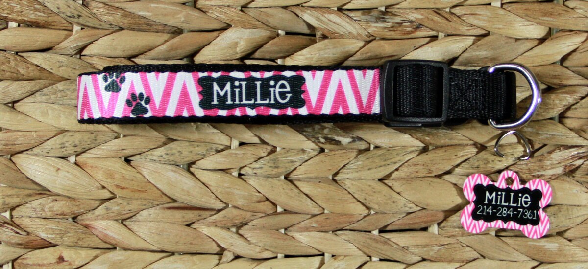 Personalized Dog Collar Dog Tag Pet ID Tag Combination Set Etsy