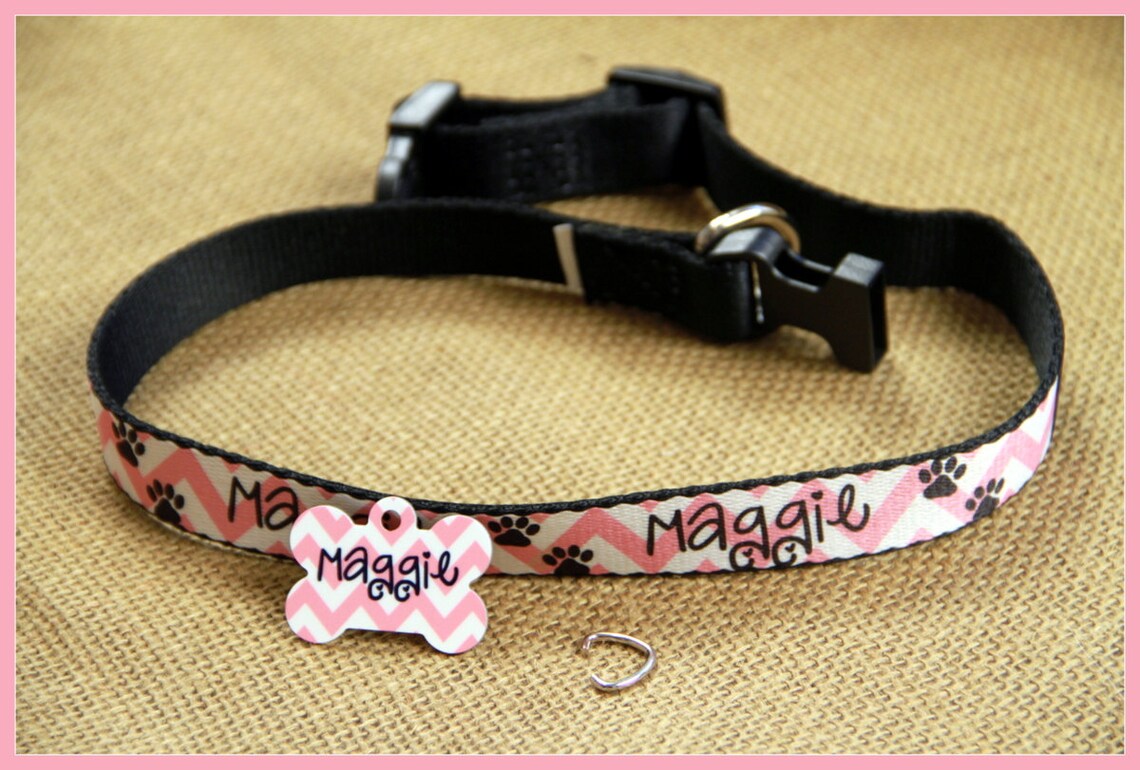 Personalized Dog Collar Dog Tag Pet ID Tag Combination Set Etsy