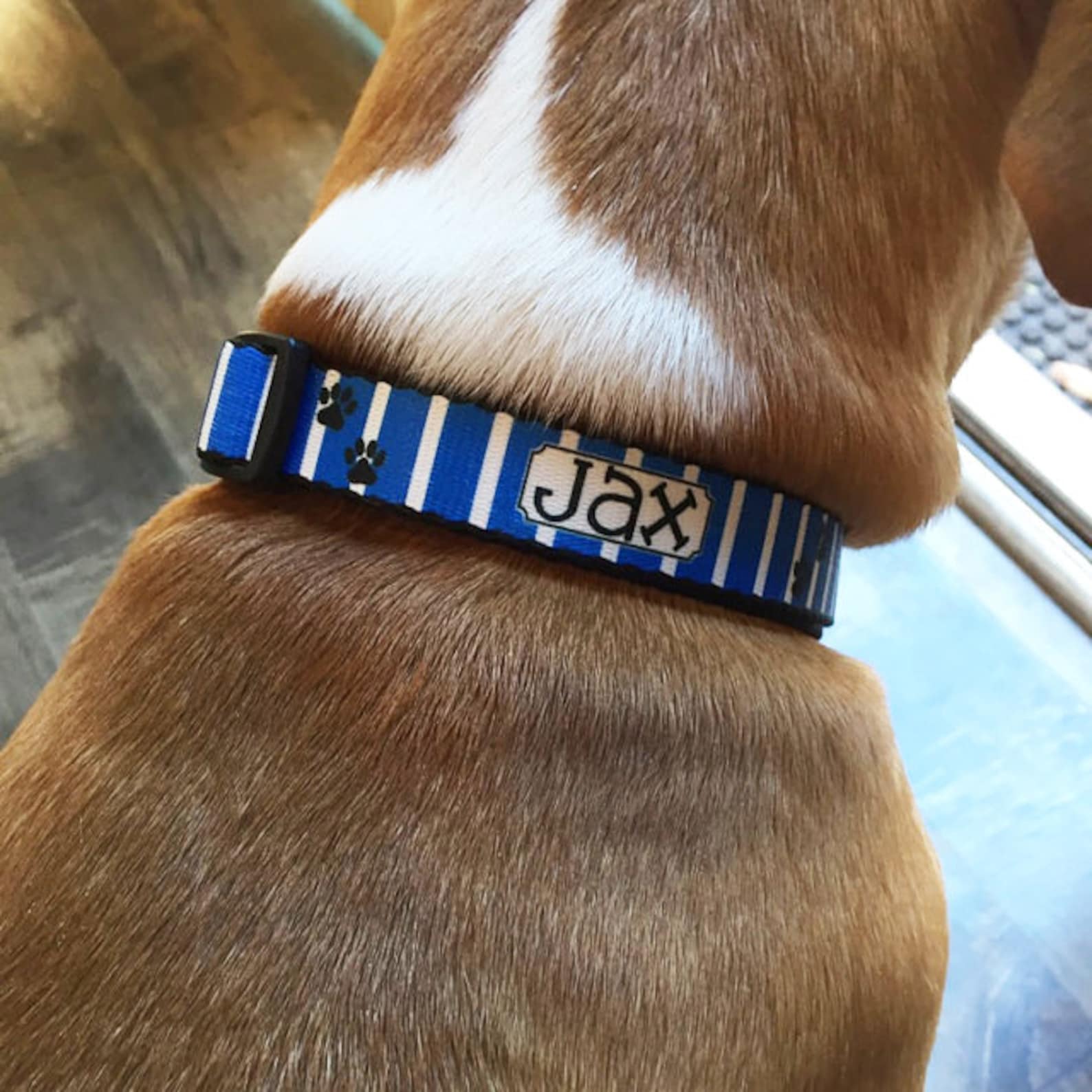 personal dog id tags personal dog id tags