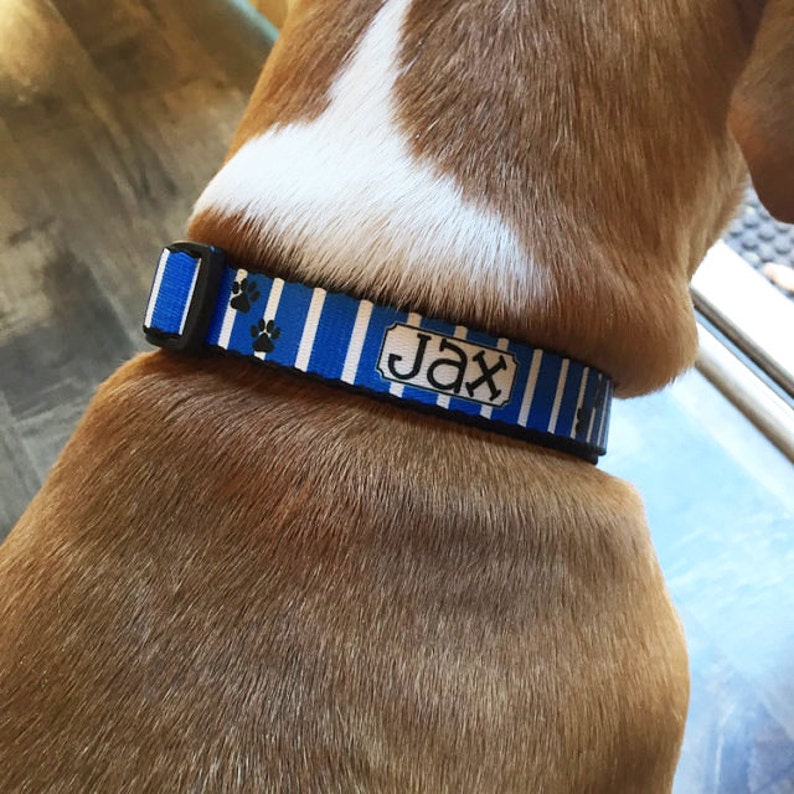 Personalized Dog Collar Dog Tag Pet ID Tag Combination Set Etsy