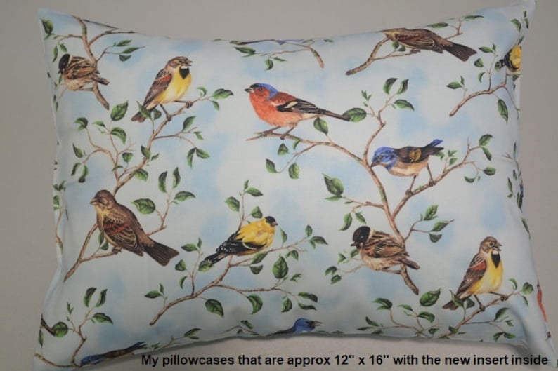May include: A light blue pillowcase with a repeating pattern of colorful birds perched on branches. The pillowcase is 12 inches by 16 inches.