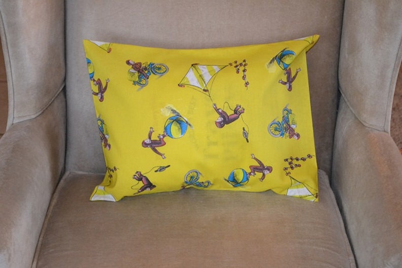 Travel Pillow Case Child Pillow Case PBS Kids CURIOUS with a Fun