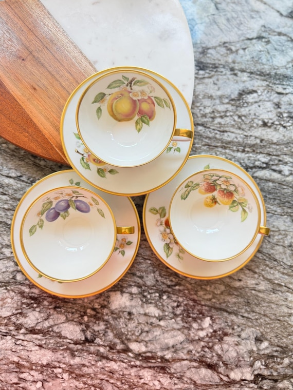 1930s Hutschenreuther Bavarian Teacup Set: Hand-Painted Fruit, Gold Gilt