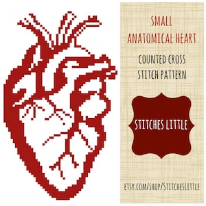 Anatomical Heart Cross Stitch Pattern - Red - Modern Cross Stitch - PDF Pattern - Instant Download