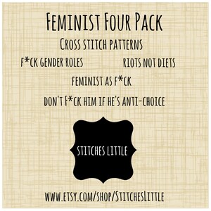 Subversive Cross Stitch Feminist Cross Stitch PDF Pattern Instant Download image 1