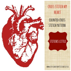Anatomical Heart Cross Stitch Pattern - Modern Cross Stitch - PDF Pattern - Instant Download