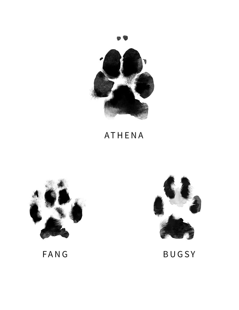The ORIGINAL Actual CUSTOM Pet Paw Print, Cat, Dog, Animal Art, Digital