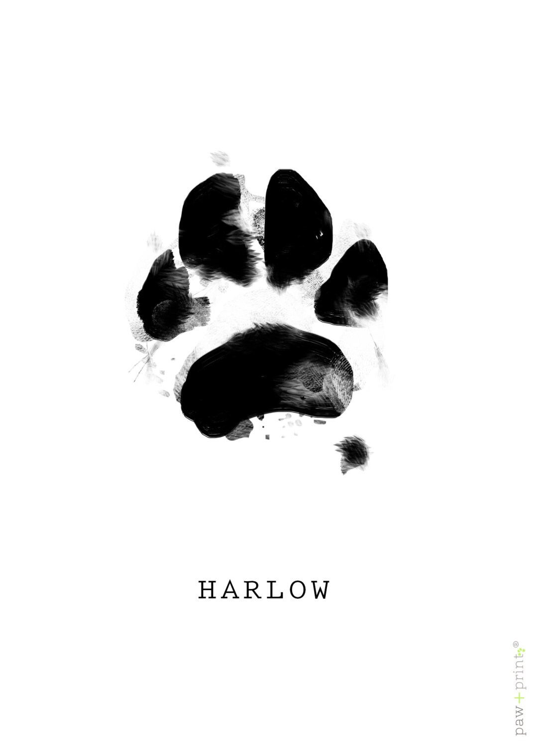 The ORIGINAL Actual CUSTOM Pet Paw Print, Cat, Dog, Animal Art, Digital
