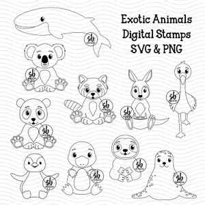 Exotic Animal Digital Stamps, Australian Animal SVG, Asian Animal Clip Art, Cute Exotic Animals, Zoo Animal Outlines, Zoo Baby Animals