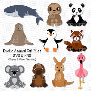 Dierlijke SVG, dierentuindieren SVG, Australische dieren SVG, schattige dieren SVG, Aziatische dieren illustraties, baby dieren gesneden bestanden, pooldieren SVG