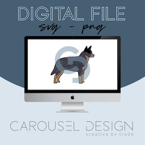 Australian Cattle Dog - Grafica Blue Heeler - File digitale 2020.1