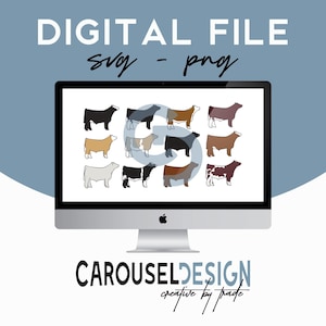 Show Steer Livestock Graphic - Digital File Bundle