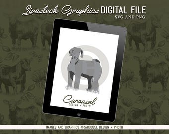 Show Goat Livestock Graphic - Digital File 2024