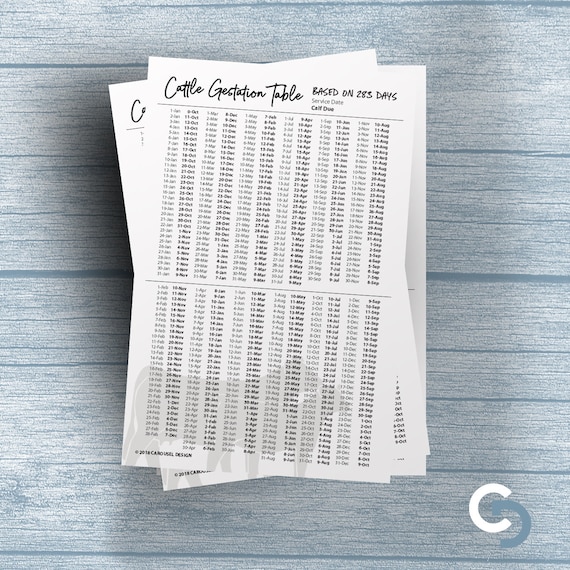 Cattle Gestation Chart