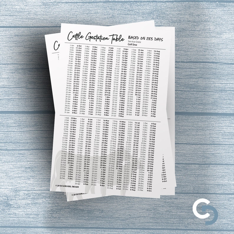 Printable Cattle Gestation Chart 2 Sizes Etsy