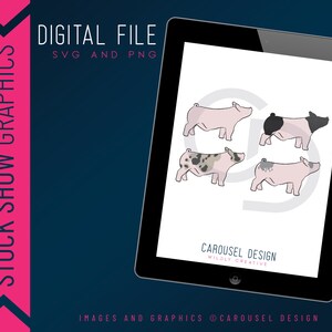 Show Pig Barrow Livestock Graphic - Digital File Bundle