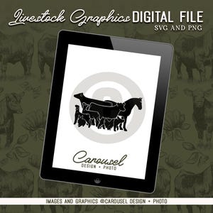 Group Livestock Graphic 2023.5 -  Dairy Cow, Steer, Horse, Pig, Lamb, Goat, Rabbit & Chicken
