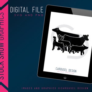 Group Livestock Graphic 2023.2 -  Dairy Cow, Steer, Pig, Lamb & Goat