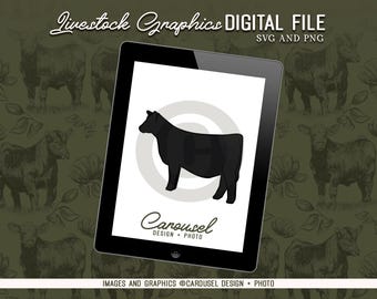 Show Heifer Livestock Graphic - Digital File PNG & SVG 2026.3