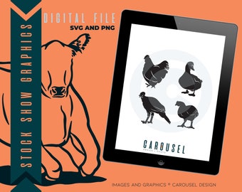 Drób Sylwetka Żywego Inwentarza Grafika - Cyfrowy Plik Pakiet 2024