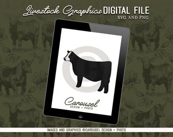 Show Heifer Livestock Graphic - Digital File PNG & SVG 2026.1