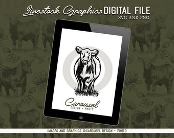 Show Cattle Calf Illustration Livestock Graphic - Digital File PNG & SVG